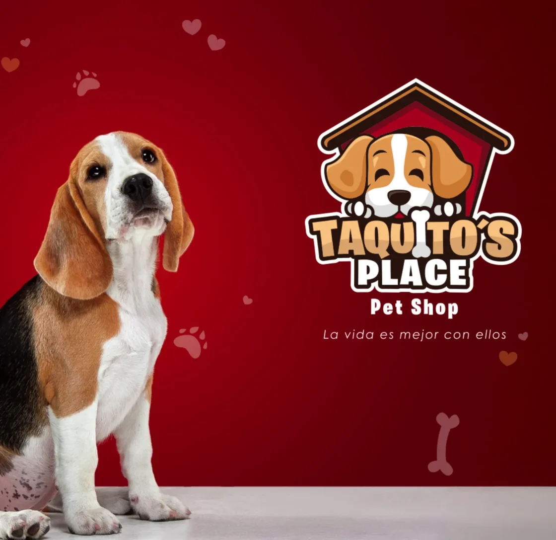 Taquito’s Place | Branding